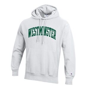 Champion Westminster Reverse Weave Hooded Sweatshirt EUC L